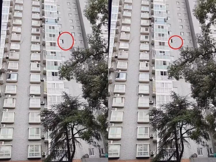 莫女士拍下有人高空抛物的情况,受访者供图